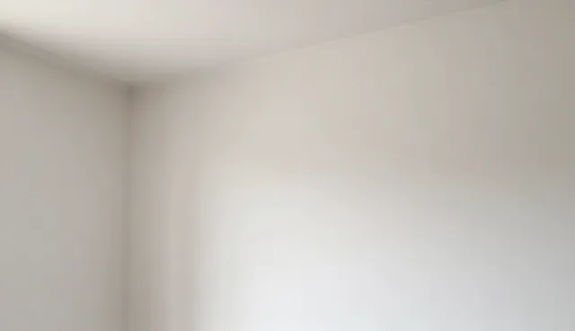 技术转让中性能问题的适用情况与处理建议